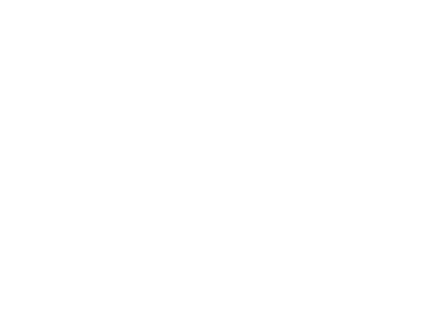 Pro IT NW